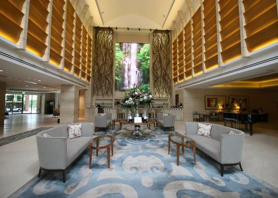 Lobby hotelowe Luksusowe krzesło i biurko Krzesło i restauracja Krzesło do jadalni Meble