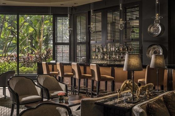 Lobby hotelowe Luksusowe krzesło i biurko Krzesło i restauracja Krzesło do jadalni Meble